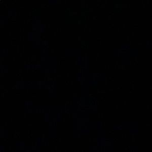 Meet your Posher, Jaden